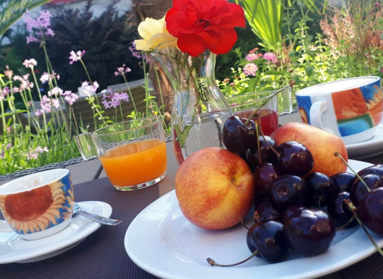 Hotel Ares Pontinia Dış mekan fotoğraf