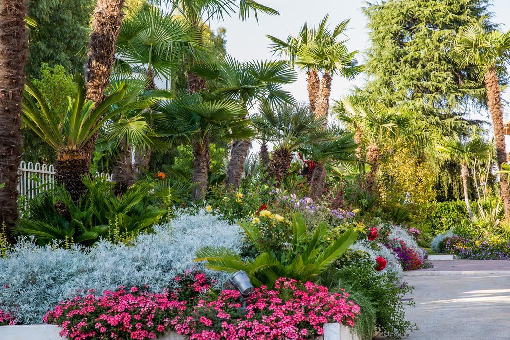 Hotel Ares Pontinia Dış mekan fotoğraf